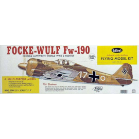 FOCKE WULF FW-190 RC aircraft