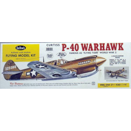 P-40 WARHAWK RC aircraft