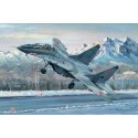 Mikoyan MiG-29UB Fulcrum Model kit