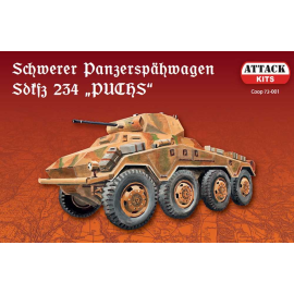 Sd.Kfz.234 'Puchs' (with metal barrel) (ex Roden kit) Model kit