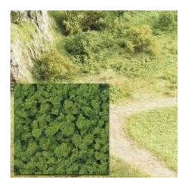 Moss green bush May - uv x 5 