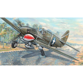 Curtiss P-40F Warhawk USAAF all metal fighter with Packard Merlin engine Model kit