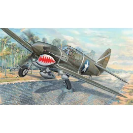 Curtiss P-40F Warhawk USAAF all metal fighter with Packard Merlin engine Model kit