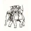 Indian Elephant x 2 elephants per box