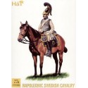 Swedish Cavalry