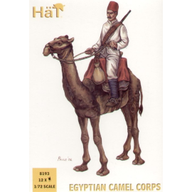 Egyptian Camel Corps