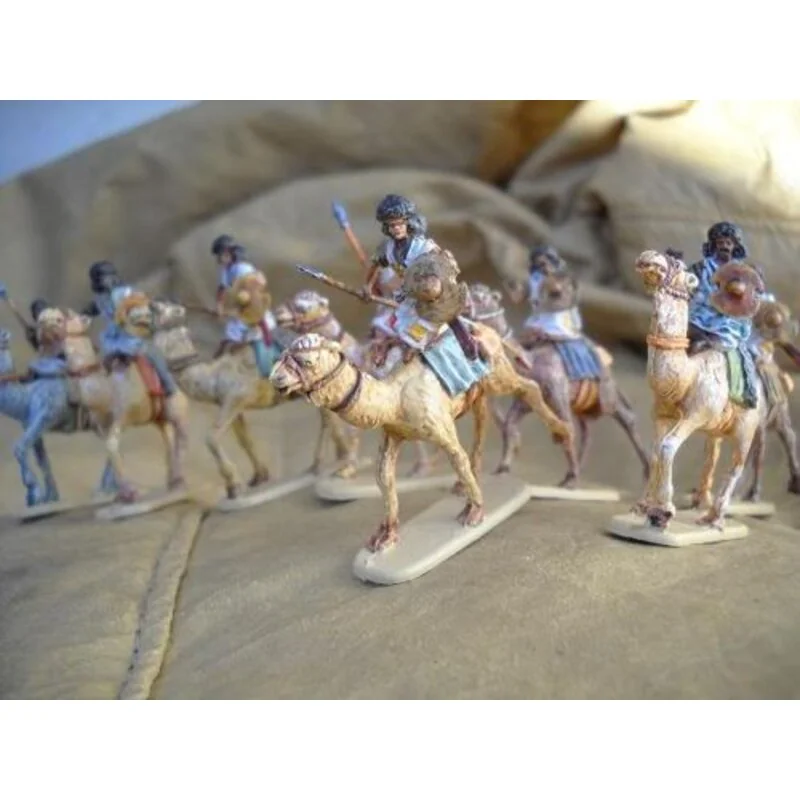 Hadendowa Camelry. 12 camels plus figures per box