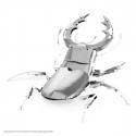 MetalEarth Insects: COLÉOPTER 7.3x5.8x1.7cm, metal 3D model with 1 sheet, on card 12x17cm, 14+