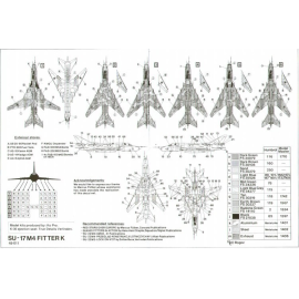 Sukhoi Su-17M4 Fitter K Russian Air Force (6) Yellow 27 2nd Squadron with shark mouth Yellow 49 3rd Squadron Yellow 24 20th Guar