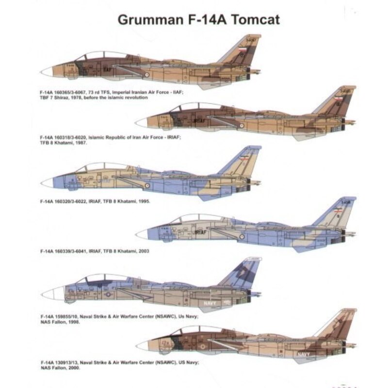 Grumman F-14A Tomcats (6) 160365 / 3-6067 73rd TFS Imperial Iranian Air Force 1978 160318 / 3-6020 Islamic Republic of Iran Air 