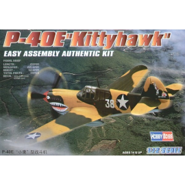 Curtiss P-40E Kittyhawk Easy Build Model kit