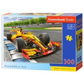 Bolide Racing on Track, Puzzle 300 Teile 