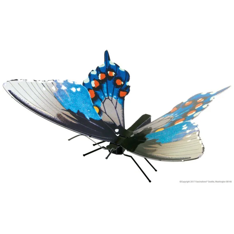 Butterfly Pipevine Swallowtail