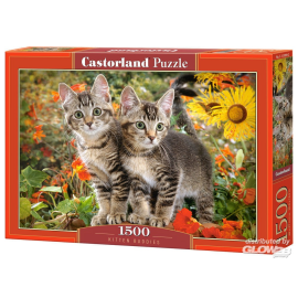 Kitten Buddies, 1500 piece jigsaw puzzle 