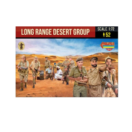 Long range desert group Figure