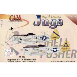 Republic P-47N Thunderbolt (2) 44-88211/146 464FS Lil Mealie′s Meat Chopper 44-88313 463FS107 The Shell Pusher. Both 507FG with 