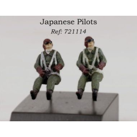 2 x Japanese pilots WWII seated in aircraft