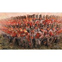 Napoleonic Wars British Infantry 1815