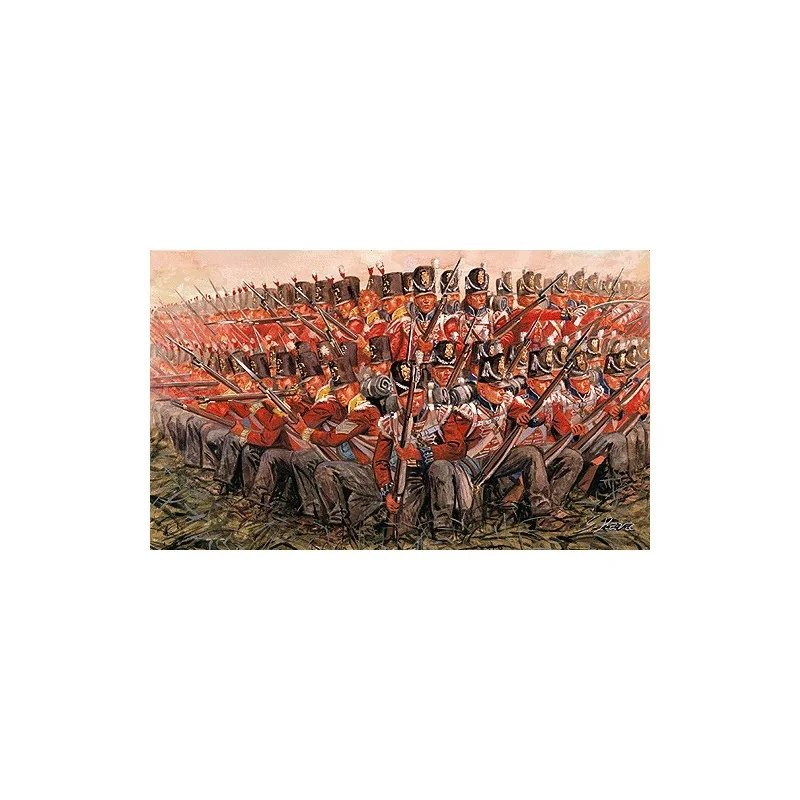 Napoleonic Wars British Infantry 1815