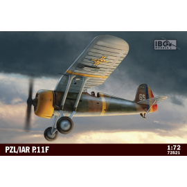 PZL P.11F Model kit