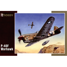 Curtiss P-40F Warhawk with Merlin engine Airplane model kit