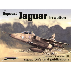 Sepecat Jaguar (In Action Series)