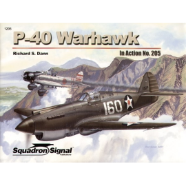 Book Curtiss P-40 Warhawk (In Action Series) 