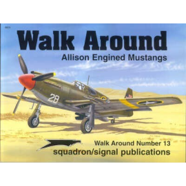 Allison Engine Mustangs (Walk Around Series)