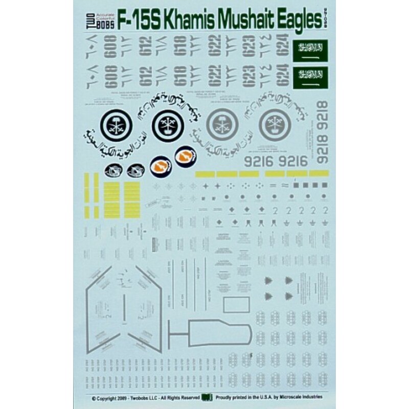 McDonnell Douglas F-15S Khanis Mushait Eagles SAudi Arabialn44519