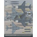 McDonnell Douglas AV-8B Harrier Yuma Nightmares. The first sheet in decal form that captures the new gunship gray scheme that al