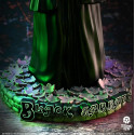 Black Sabbath Witch 3D Vinyl Figure (1st Album) 22 cm