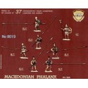 Macedonian Phalanx IV-1 BC