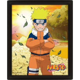 Naruto Hidden Leaf Rivals 3D Lenticular Poster Framed 