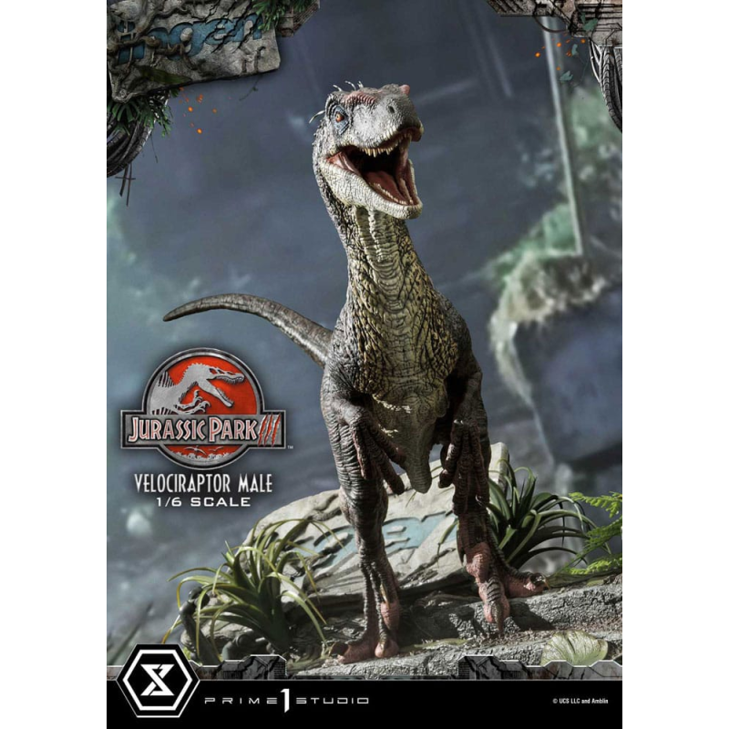 Jurassic Park III statuette Legacy Museum Collection 1/6 Velociraptor Male Bonus Version 40 cm 
