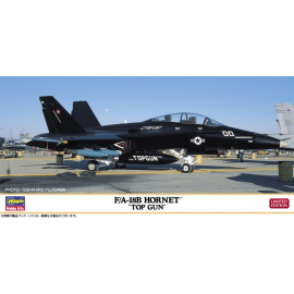 McDonnell-Douglas F/A-18B Hornet Top Gun Model kit 
