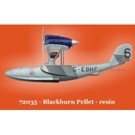 Blackburn Pellet flying boat Model kit