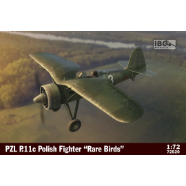 PZL P.11c Polish Fighter - Rare Birds Model kit 
