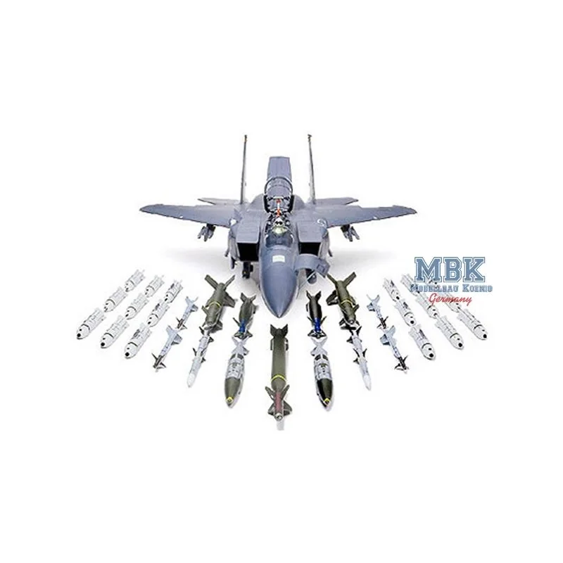 McDonnell Douglas F-15E Strike Eagle Bunker-Buster. with GBU-28 Laser Guided Bomb AGM-130 TV/IIR guided Missile AIM-9L Sidewinde