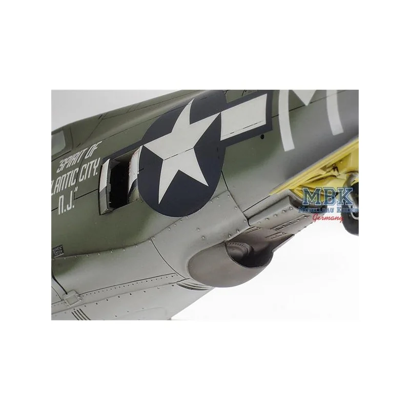 Republic P-47D Thunderbolt Razorback