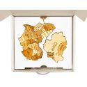 Clear 3D WOODEN WORLD MAP M