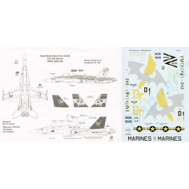 McDonnell Douglas F/A-18D Hornet (1) 164652 DT/01 VMF(AW)-242. Black fins with grey bats/yellow lightning bolt and yellow backed