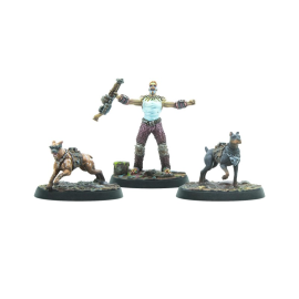 FALLOUT: WASTELAND WARFARE - RAIDERS - TOP DOGS PACK