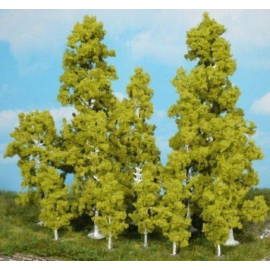 Set of 10 Birch trees 10-18cm 