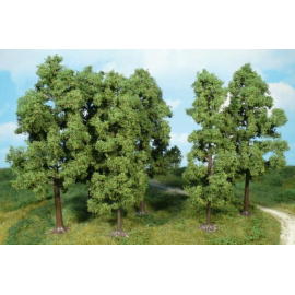 Set of 6 Beech trees 18cm 