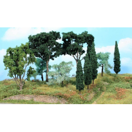 Set of Mediterranean trees, 11 trees from 8 to 17 cm 