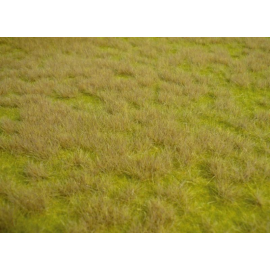 Wild savannah grass rug 45 x 17 cm 