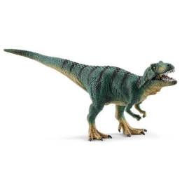Young Tyrannosaurus Rex 