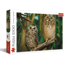 1000 Piece Puzzle Two Owls 