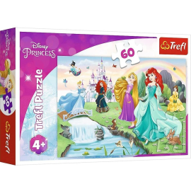 60 Piece Puzzle Meetings with the Princesses 