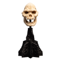 The Lord of the Rings Skull of Lurtz statuette 14 cm 